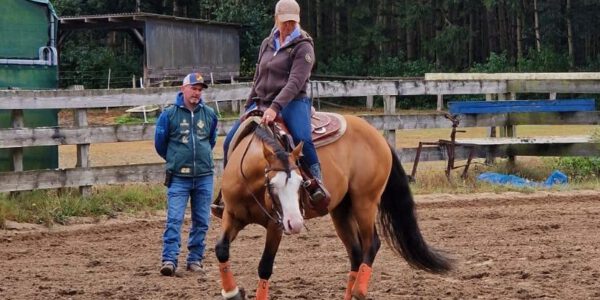 Individualkurs – Schwerpunkt Reining mit Oliver Stein auf der Little O Ranch