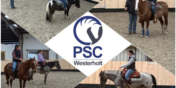 Ranchhorsefeeling in Ostfriesland – 1. RR / Individualkurs mit Joschka Werdermann in Westerholt
